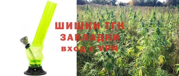 амфетамин Каменка