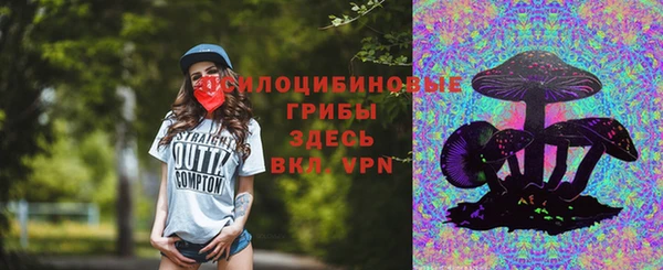 амфетамин Каменка