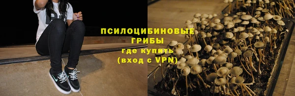 альфа пвп Каменногорск