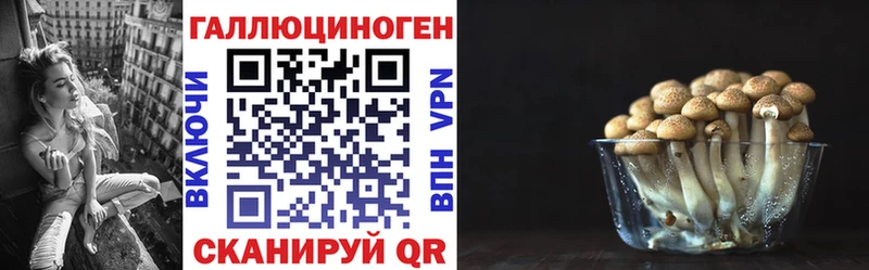 Купить где  Бронницы  Галлюциногенные грибы мухоморы 